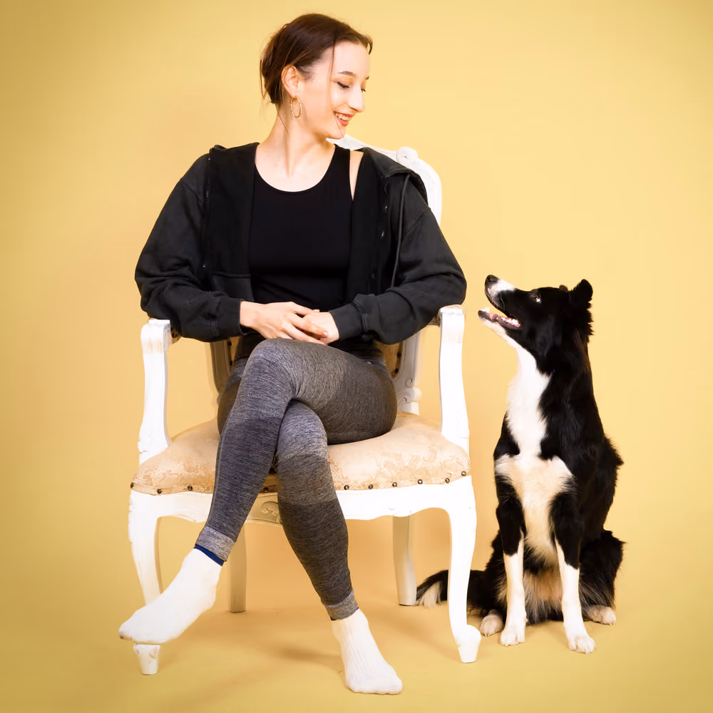 Dog focused on its owner – obedience training