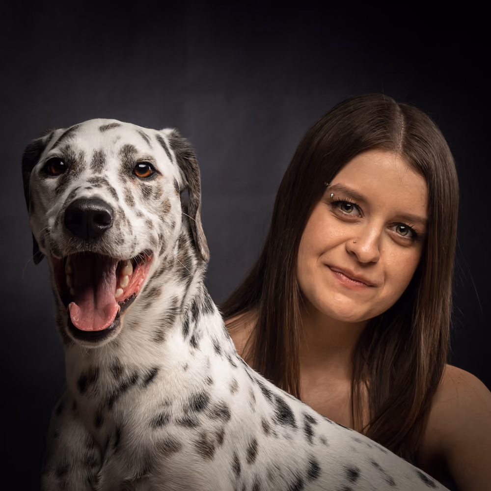 Dog posing on set – talent & media