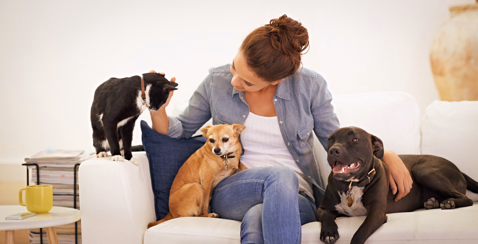 Sahibiyle birlikte huzurlu bir an yaşayan köpek – Dog Craft Academy yaşam kültürü